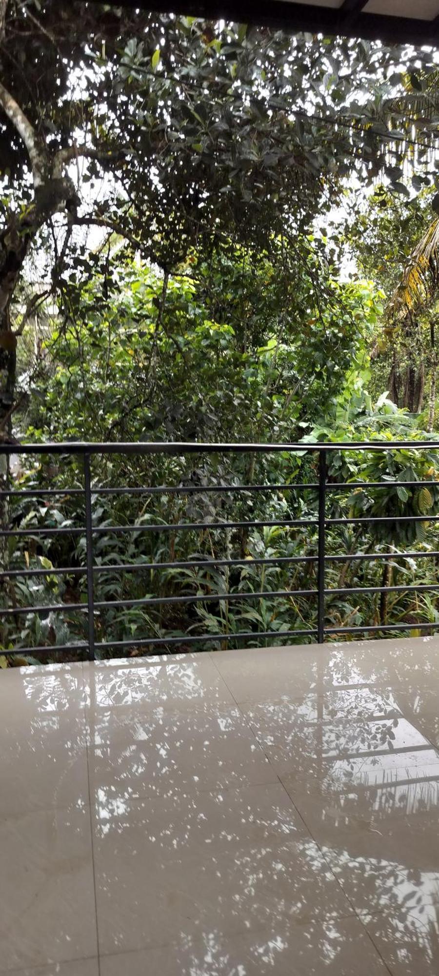 Himadri Munnar Holidays Eksteriør billede