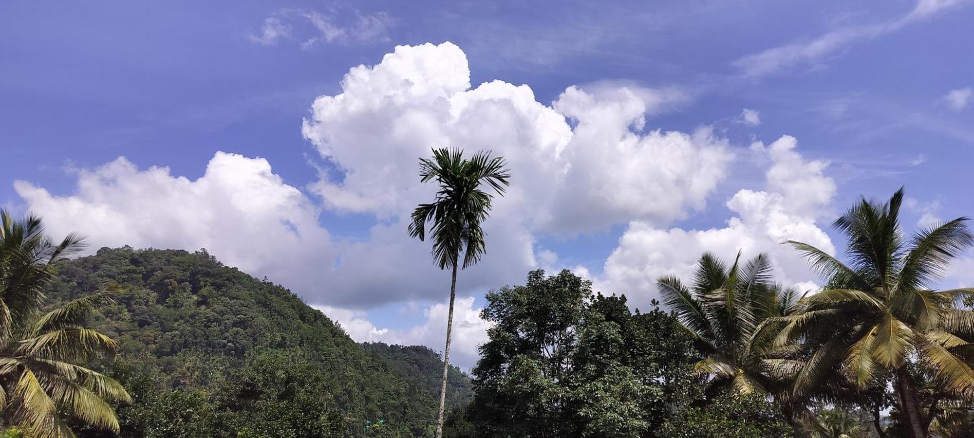 Himadri Munnar Holidays Eksteriør billede